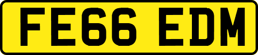 FE66EDM