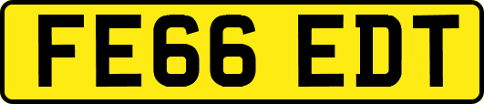 FE66EDT