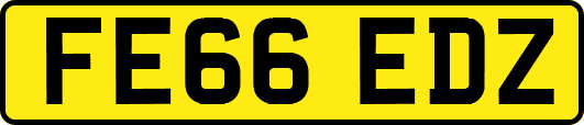 FE66EDZ