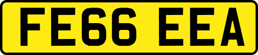 FE66EEA
