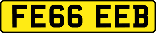 FE66EEB