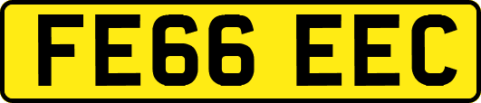 FE66EEC
