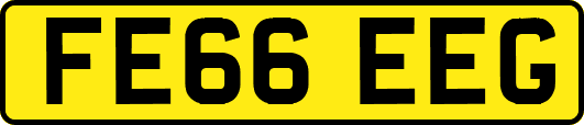 FE66EEG