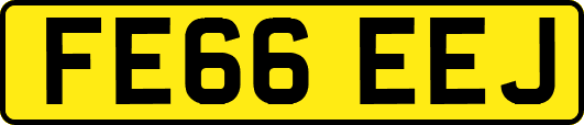 FE66EEJ