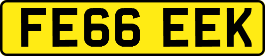 FE66EEK