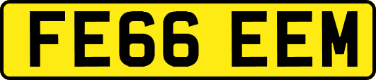 FE66EEM