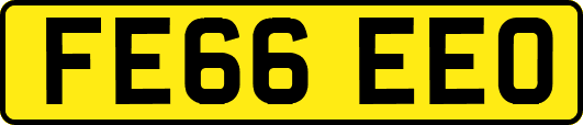 FE66EEO