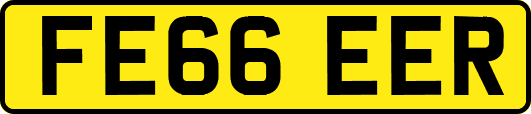 FE66EER