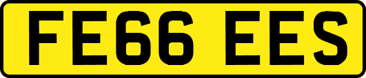 FE66EES
