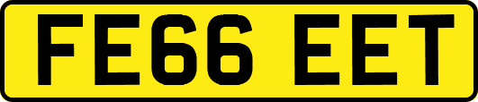 FE66EET