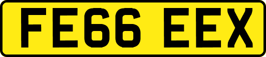 FE66EEX
