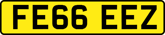 FE66EEZ