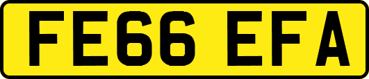 FE66EFA