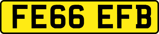 FE66EFB