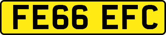 FE66EFC