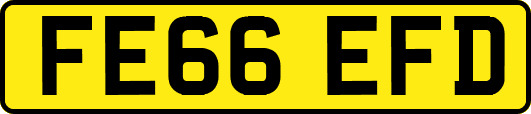 FE66EFD