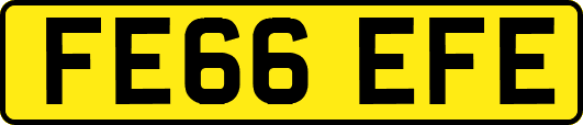 FE66EFE