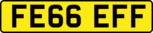 FE66EFF