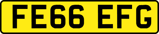 FE66EFG