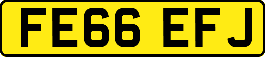 FE66EFJ