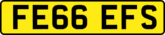 FE66EFS