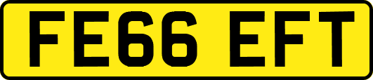FE66EFT
