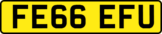 FE66EFU