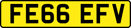 FE66EFV