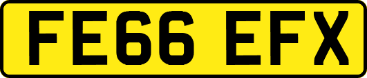FE66EFX