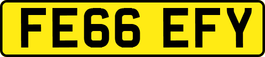 FE66EFY