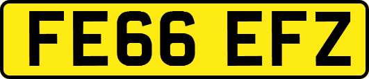 FE66EFZ