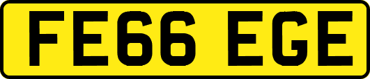 FE66EGE