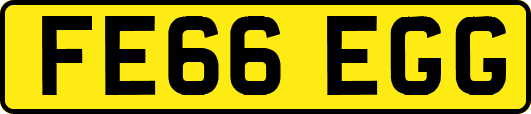 FE66EGG