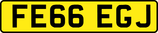 FE66EGJ
