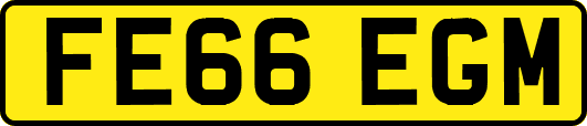 FE66EGM