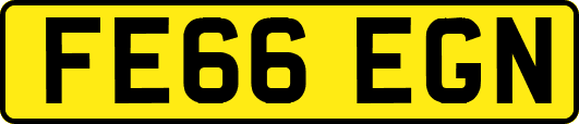FE66EGN