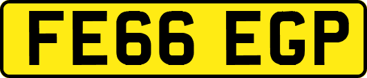 FE66EGP