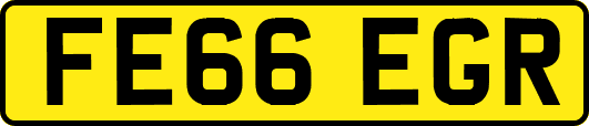 FE66EGR