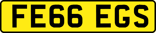 FE66EGS