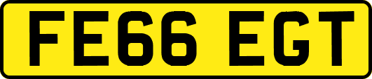 FE66EGT