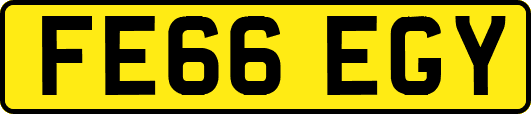 FE66EGY