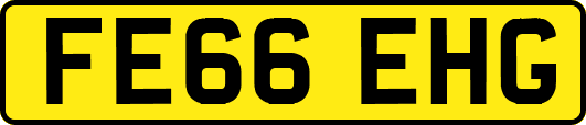 FE66EHG
