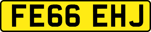 FE66EHJ