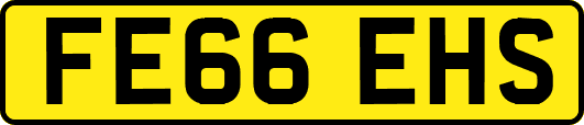 FE66EHS
