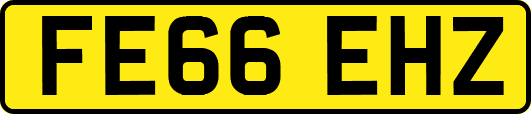 FE66EHZ