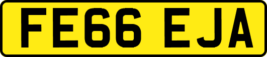 FE66EJA