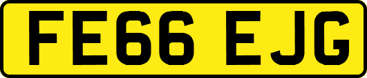 FE66EJG
