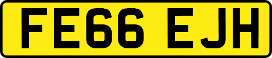 FE66EJH