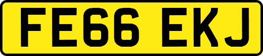 FE66EKJ