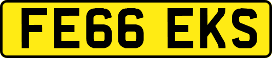 FE66EKS